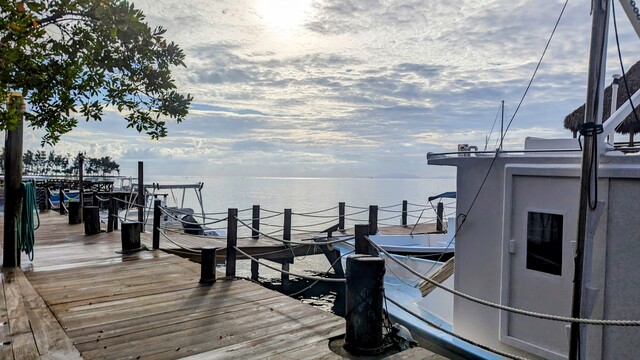 Roatan Southside Reef Snorkel, Monkey / Sloth Park, and Beach Excursion So much fun!