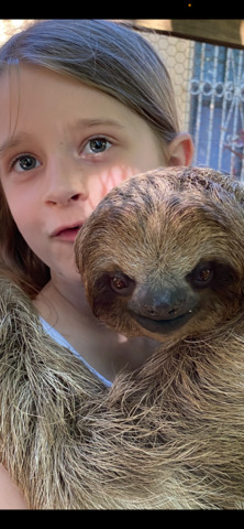 Roatan Southside Reef Snorkel, Monkey / Sloth Park Excursion Excursion was above & beyond what we expected!