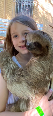 Roatan Southside Reef Snorkel, Monkey / Sloth Park Excursion Excursion was above & beyond what we expected!