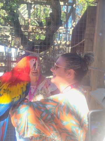 Roatan Southside Reef Snorkel, Monkey / Sloth Park Excursion Amazing