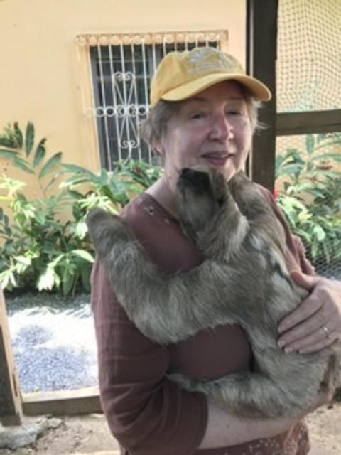 Roatan Southside Reef Snorkel, Monkey / Sloth Park Excursion Fun times