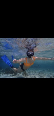 Roatan Southside Reef Snorkel, Monkey / Sloth Park Excursion Outstanding time!!!!