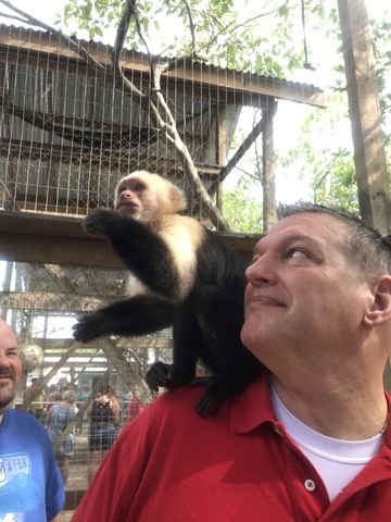 Roatan Southside Snorkel, Monkey and Sloth Park Excursion Great time good value