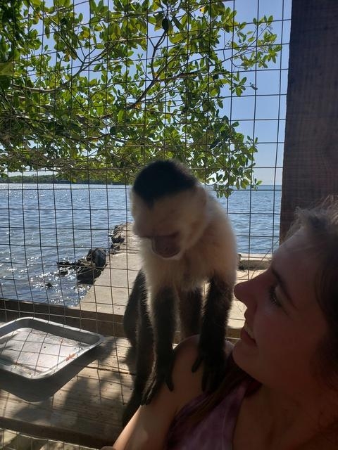 Roatan Southside Snorkel, Monkey and Sloth Park Excursion Best time!!