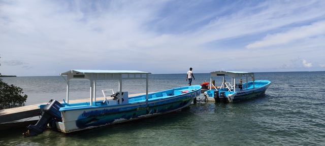 Roatan Ultimate Nature Combo Excursion: Mangrove Cruise, Horseback Riding, Reef Snorkeling, and Beach Break Snorkeling was beautiful!