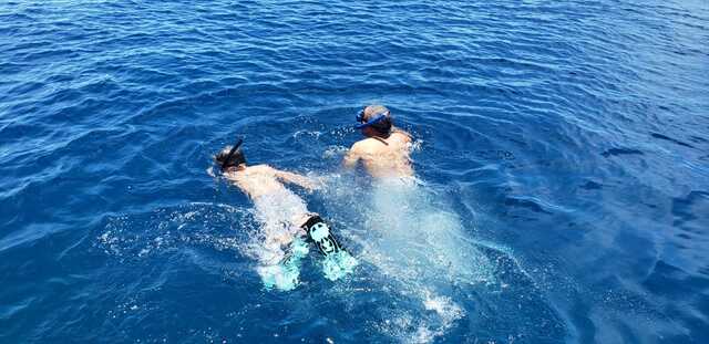 Roatan Ultimate Nature Combo Excursion: Mangrove Cruise, Horseback Riding, Reef Snorkeling, and Beach Break Perfect excursion for friends and family 