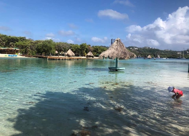 Roatan Zipline and Little French Key Beach Break Excursion Great time for the whole family!