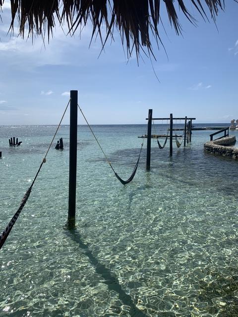 Roatan Zipline and Little French Key Beach Break Excursion Absolutely loved!