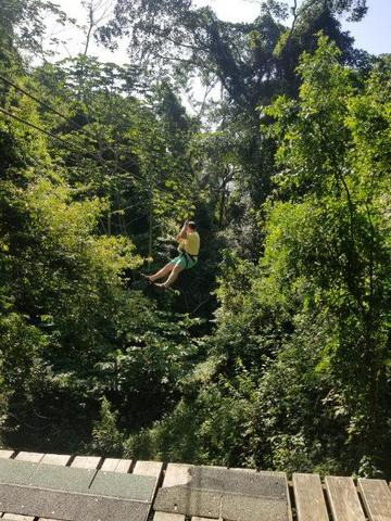 Roatan Zipline, Monkey and Sloth Hangout, Snorkel and Beach Break Excursion Best Excursion of our Trip