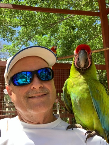 Roatan Zipline, Monkey and Sloth Hangout, Snorkel and Beach Break Excursion Roatan Zipline 