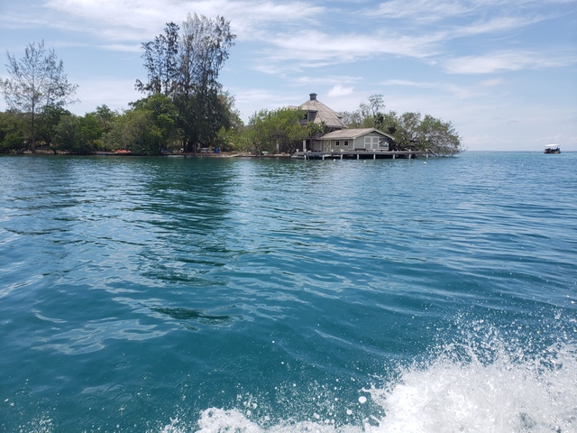 Roatan Zipline, Monkey and Sloth Hangout, Snorkel and Beach Break Excursion What an amazing day!