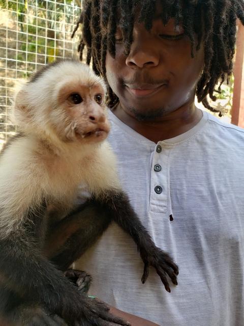 Roatan Zipline, Monkey and Sloth Hangout, Snorkel, and Beach Excursion What an amazing day!