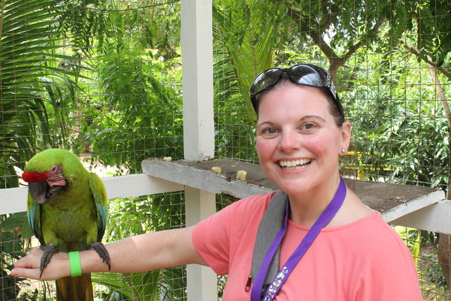 Roatan Zipline Park, Iguana Farm, Reef Snorkel, and Beach Excursion Combo Would 100% do it again!