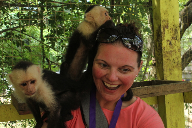 Roatan Zipline Park, Iguana Farm, Reef Snorkel, and Beach Excursion Combo Would 100% do it again!