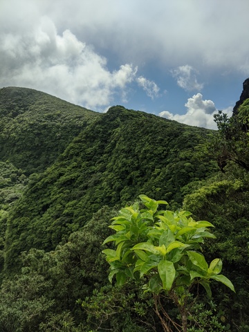 St. Kitts Mount Liamuiga Volcano Hiking Excursion Great hike!