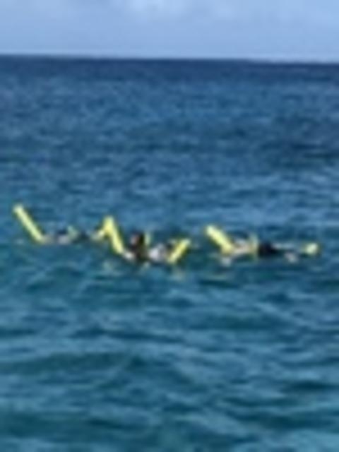 St. Maarten Half Day Boat, Snorkel and Beach Excursion Great Excursion for all ages! 