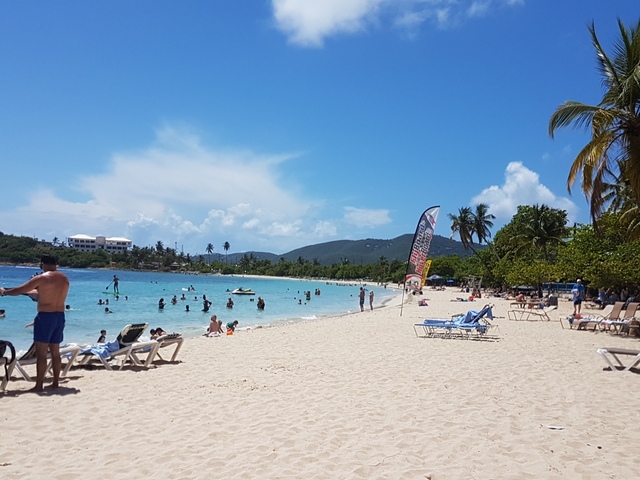 St. Thomas Sightseeing Highlights and Beach Excursion Happy customer