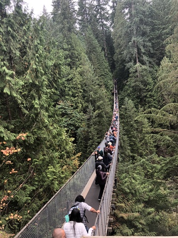 Vancouver Grouse Mountain and Capilano Suspension Bridge Excursion Great tour!!