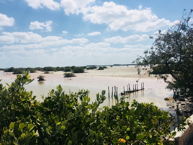 Xcambo Mayan Ruins, Flamingos, Pink Lagoon, and Beach Excursion Combo from Progreso Donâ€™t miss this excursion! 