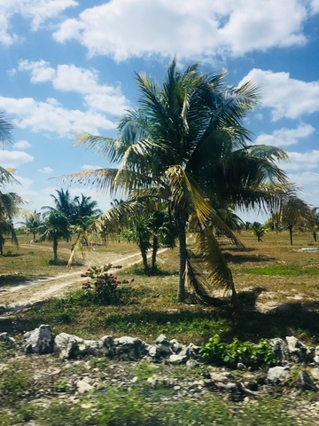 Xcambo Mayan Ruins, Flamingos, Pink Lagoon, and Beach Excursion Combo from Progreso Donâ€™t miss this excursion! 