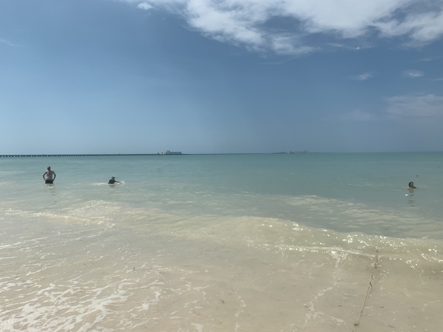 Xcambo Mayan Ruins, Flamingos, Pink Lagoon, and Beach Excursion Combo from Progreso Pink lagoon was my favorite!