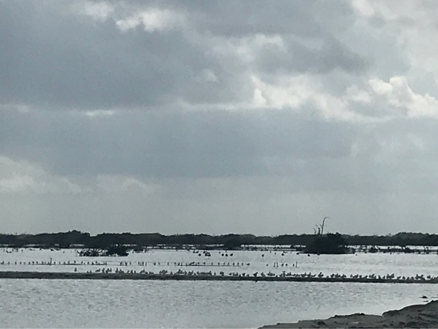 Xcambo Mayan Ruins, Flamingos, Pink Lagoon, and Beach Excursion Combo from Progreso family fun