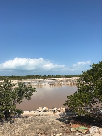 Xcambo Mayan Ruins, Flamingos, Pink Lagoon, and Beach Excursion Combo from Progreso family fun