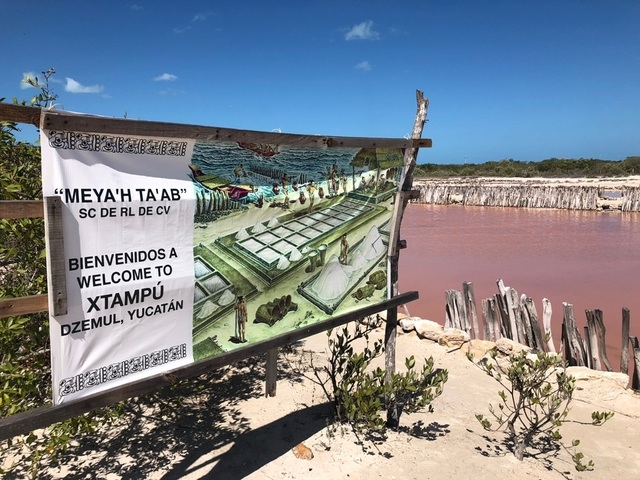 Xcambo Mayan Ruins, Flamingos, Pink Lagoon, and Beach Excursion Combo from Progreso Progresso exceeded my expectations. 