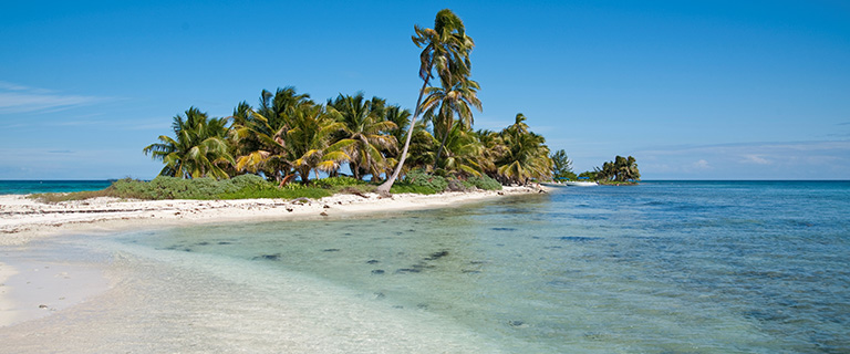 Harvest Caye Excursions