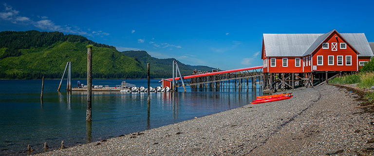 Icy Strait Excursions