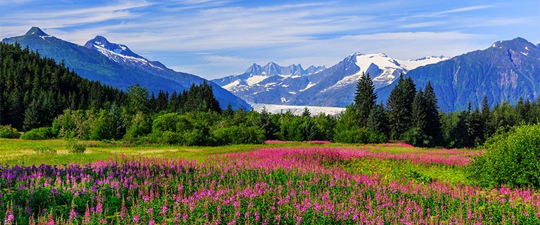 Juneau Excursions