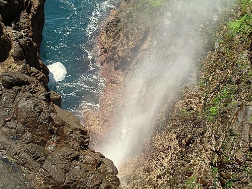 Ensenada Mexico Blowhole Tour Prices