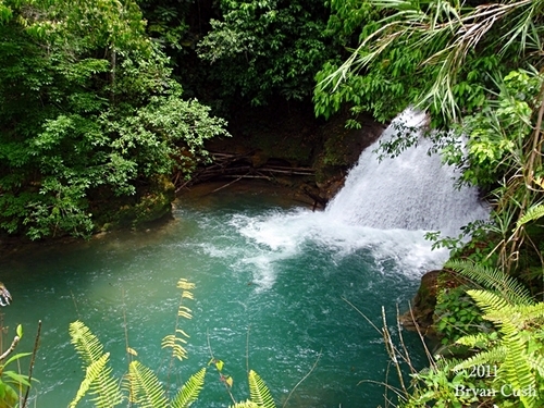 Ocho Rios  Jamaica prospect plantation Excursion