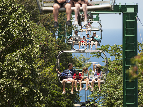 Ocho Rios Hummingbird Garden Shore Excursion Prices