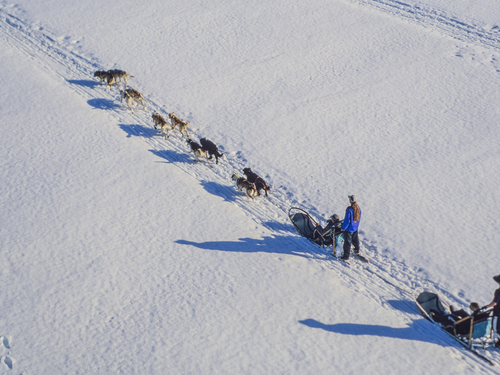 Juneau Alaska helicopter and dog sled Tour Reservations