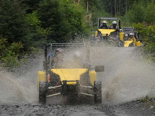 Ketchikan Tomcar Excursion Reservations