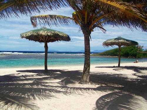 Roatan all inclusive day pass Tour Reviews
