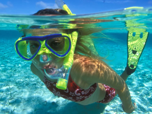 Cozumel lunch Cruise Excursion