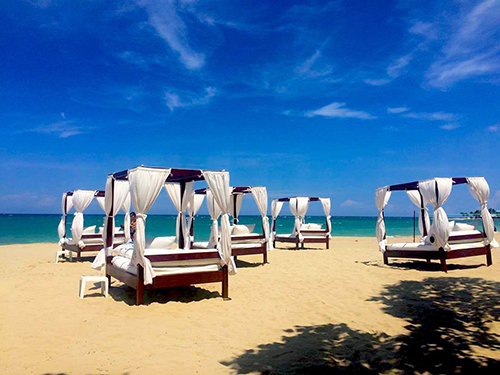 Dominican Republic  blue jacktar Trip Booking