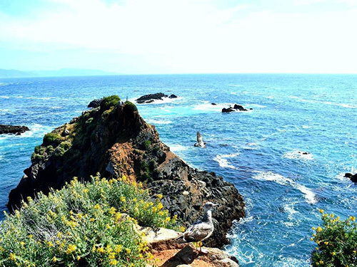 Ensenada drinks Shore Excursion Booking