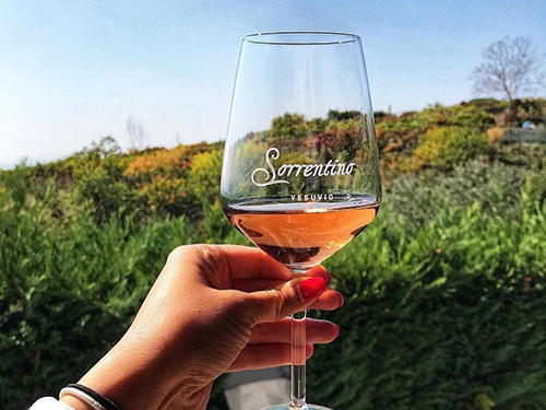 Naples Pompeii Walking Excursion Cost