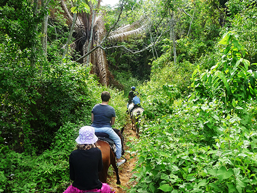 Roatan  Honduras downtown Cruise Excursion Booking