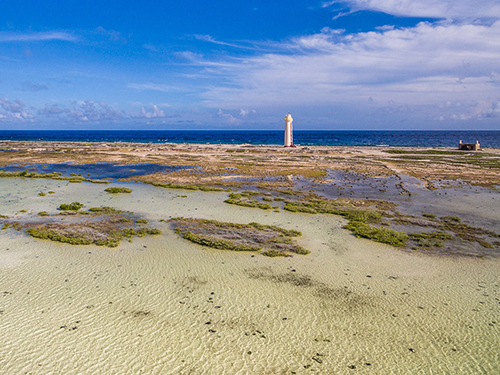 Bonaire  Leeward Antilles lac bay Cruise Excursion Cost