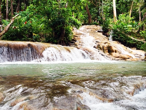 Falmouth waterfalls Excursion Booking