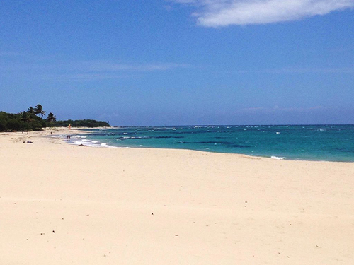 Amber Cove Playa Dorada Trip Prices
