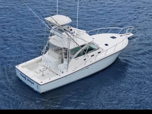 Amber Cove (Puerto Plata) Deep Sea Fishing Tour Reviews
