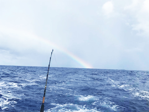Amber Cove (Puerto Plata)  Dominican Republic Sport Fishing Excursion Prices