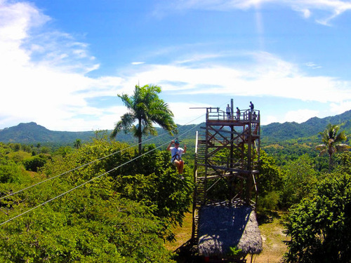 Amber Cove Squirrel Monkey Encounter and 8 Zip Lines Excursion