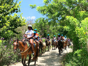 Amber Cove Squirrel Monkey Encounter and Horseback Riding Excursion