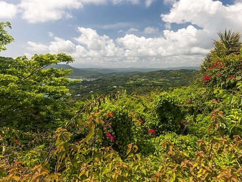 Falmouth Jamaica dunns falls Excursion Reviews